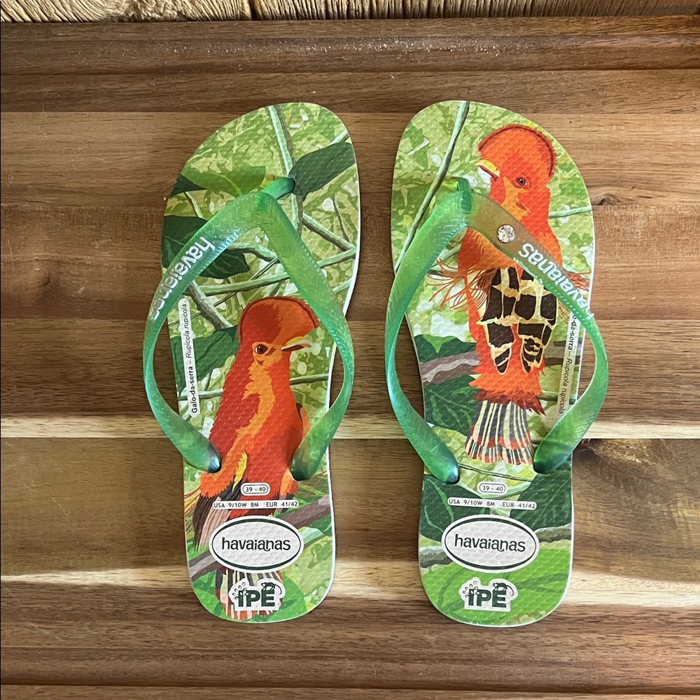 Havaianas Green and Orange Bird Print Flip Flops